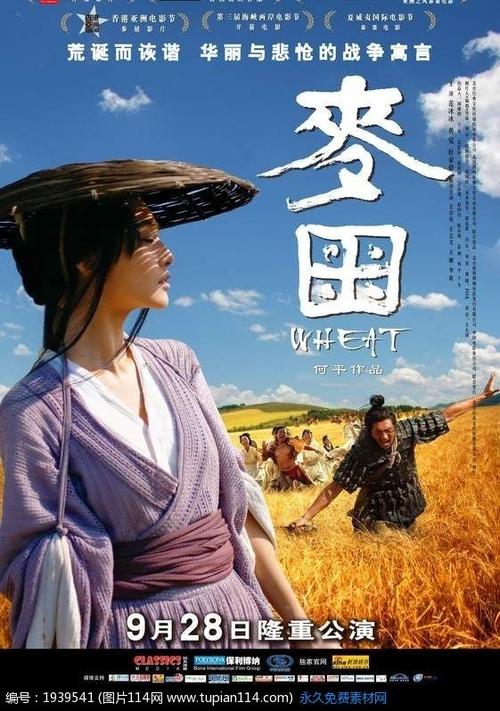 仿制佛罗里达州